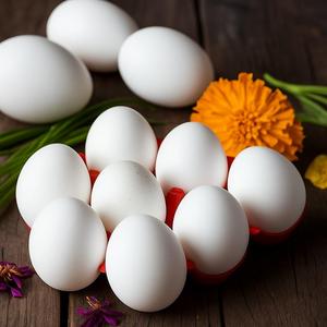 Huevos Frescos de Gallina Blanca Orgánica, Precio Competitivo al por Mayor de Austria, Huevos Frescos de Granja Disponibles a Precio de Mayoreo - Product Image 3