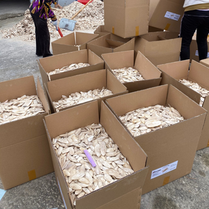 กระดูกปลาหมึกแห้งธรรมชาติ 100% ตากแดดสำหรับนก ผลิตจากเวียดนาม HOANG LINH SG Kimy - Product Image 5