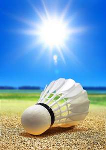 Volantes de Bádminton Personalizados de Calidad Profesional para Uso Unisex con Diseño de Logotipo Personalizado - Product Image 2