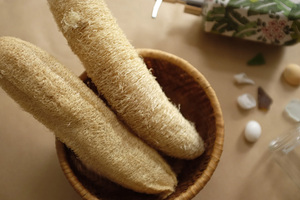Luffa écologique 100% plante naturelle luffa biologique épurateur luffa - Product Image 2