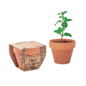 Juego de Regalo Ecológico de Tarro de Semillas de Menta de Terracota, Gadgets Ecológicos para Empresas - Product Image 1
