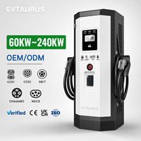 Cargador Rápido para Vehículos Eléctricos de Corriente Continua de Nivel 3, Doble Pistola, Comercial, 60kw 120kw 160kw, Montado en el Suelo, Estaciones de Carga para Vehículos Eléctricos, Nuevo, con Certificación CE
