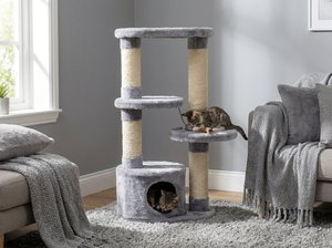 Arbre à chat multi-niveaux Pandora Cosmic Adventure Classic Wood avec emballage en carton pour chats ludiques - Product Image 4