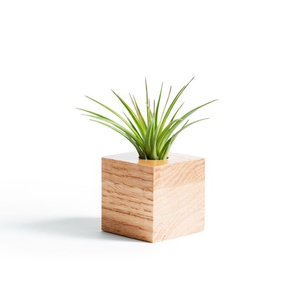 Florero de maceta de madera de alta calidad y macetas y jardineras redondas de jardín con forma cuadrada producto de Venta caliente - Product Image 2