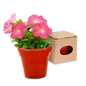 Ensemble cadeau de gadgets écologiques Heta, graines de pétunia dans un pot réutilisable - Product Image 1