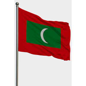 Custom Maldives <b>Flag</b> with Digital Printing Aluminum <b>Pole</b> Custom Logo-polyester Pennant Banner - Product Image 1