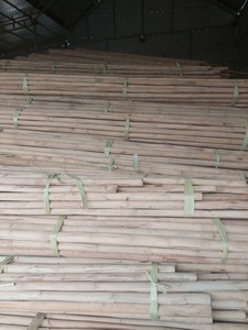 แกนหวายธรรมชาติแบบไม่ฟอกขาวแกนหวายวัตถุดิบจากเวียดนามเพื่อการส่งออก - Product Image 5