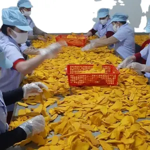 Mangue séchée molle pour le marché russe emballage OEM 250 grammes 500 grammes 1KG usine de fruits secs-Whatsapp 0084 989 322 607