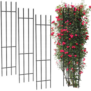 Ensemble de 3 pergolas de jardin en métal avec treillis de support pour plantes à fleurs et roses - Product Image 1