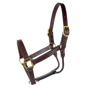 Best Selling <b>Horse</b> Nylon Headcollar Customize Color Halters Excellent Quality Customize Logo and Color - Product Image 6