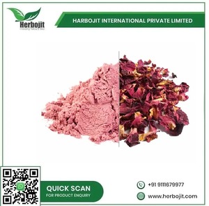 ผงกลีบกุหลาบอินเดียแห้ง กระบวนการอบแห้งแบบ FD ธรรมชาติ 100% บรรจุ 25 กก. จาก Herbojit International ผู้ส่งออกขายส่ง - Product Image 5