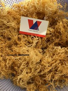 Venta al por mayor de algas secas de alta calidad Eucheuma Cottonii/musgo marino de Vietnam // Lima - Product Image 5