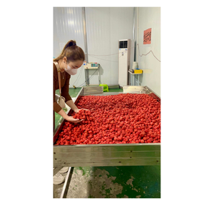 Crisps สตรอเบอร์รี่ที่ดีต่อสุขภาพจากฟาร์มเวียดนามที่มีรสหวานและลักษณะผลไม้ธรรมชาติ - Product Image 5