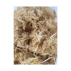 Eucheuma cottonii seamoss จากประเทศเวียดนามสาหร่ายทะเลแห้งป่าผลิตจาก0084392328745ส่งออก - Product Image 6