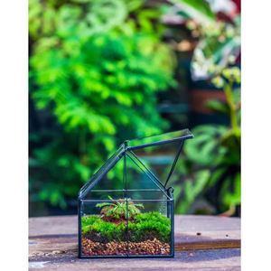 Terrario de vidrio transparente de diseño impresionante para mesa suculenta hogar y oficina decorar planta decorar en acabado negro - Product Image 3