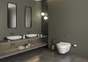 Inodoros de baño blancos de cerámica europea de lujo, tanque oculto, cuenco montado en la pared para aplicación de lavabo - Product Image 3