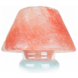 Lampe au sel naturel de l'Himalaya de qualité supérieure porte-lampe à thé Design contemporain prise murale pour la décoration intérieure utilisation de la chambre électrique - Product Image 4