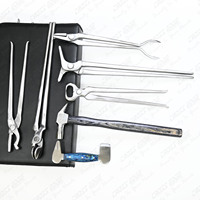 Kit d'outils de maréchal-ferrant en gros pince à sabot pince à ongles épandeur de chaussures équine pince à feu de forgeron manche en bois tampon inoxydable