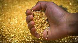 Poudre de particules d'or pur 24 carats en or véritable pour la décoration de la peau du visage de bouddha Utilisation de revêtement de pigment de cobalt - Product Image 2