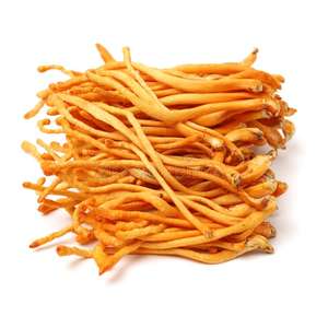 Champignon Chenille de haute qualité provenant de sofia du vietnam - Product Image 1