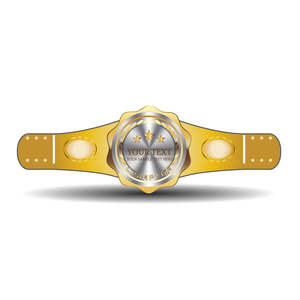 Ceintures de championnat respirantes à taille haute de fabrication professionnelle, service OEM, fabricant pakistanais, couleur et logo personnalisés - Product Image 3