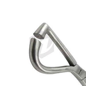 เครื่องมือตรวจเท้าสัตว์แบบใช้ซ้ำได้ ลายเวียนนา สำหรับสัตว์เล็กและม้า อุปกรณ์ดูแลกีบ เครื่องมือตีกีบม้า เครื่องมือช่างเกือกม้า - Product Image 5