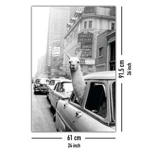Póster de papel 'A Llama in Times Square' de estilo moderno para decoración de pared - Product Image 5