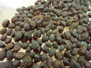 Grenat naturel brut non coupé pierres précieuses en vrac couleur pourpre en gros d'origine - Product Image 2