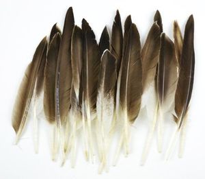 Plumes de canard naturelles pour les arts artisanaux Coiffes DIY Postiches Mariage Halloween Décor Motifs Colorés Teints Lavés Bruts - Product Image 6