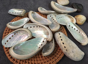 Conchiglia di vongole naturali giganti 10-11 "madreperla mezza conchiglia per vaschetta decorativa nautica costiera - Product Image 6