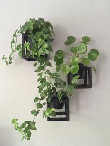 Étagère en bois flottante de qualité supérieure Organisation murale pour la décoration murale de la maison Tenture murale technique polie - Product Image 2