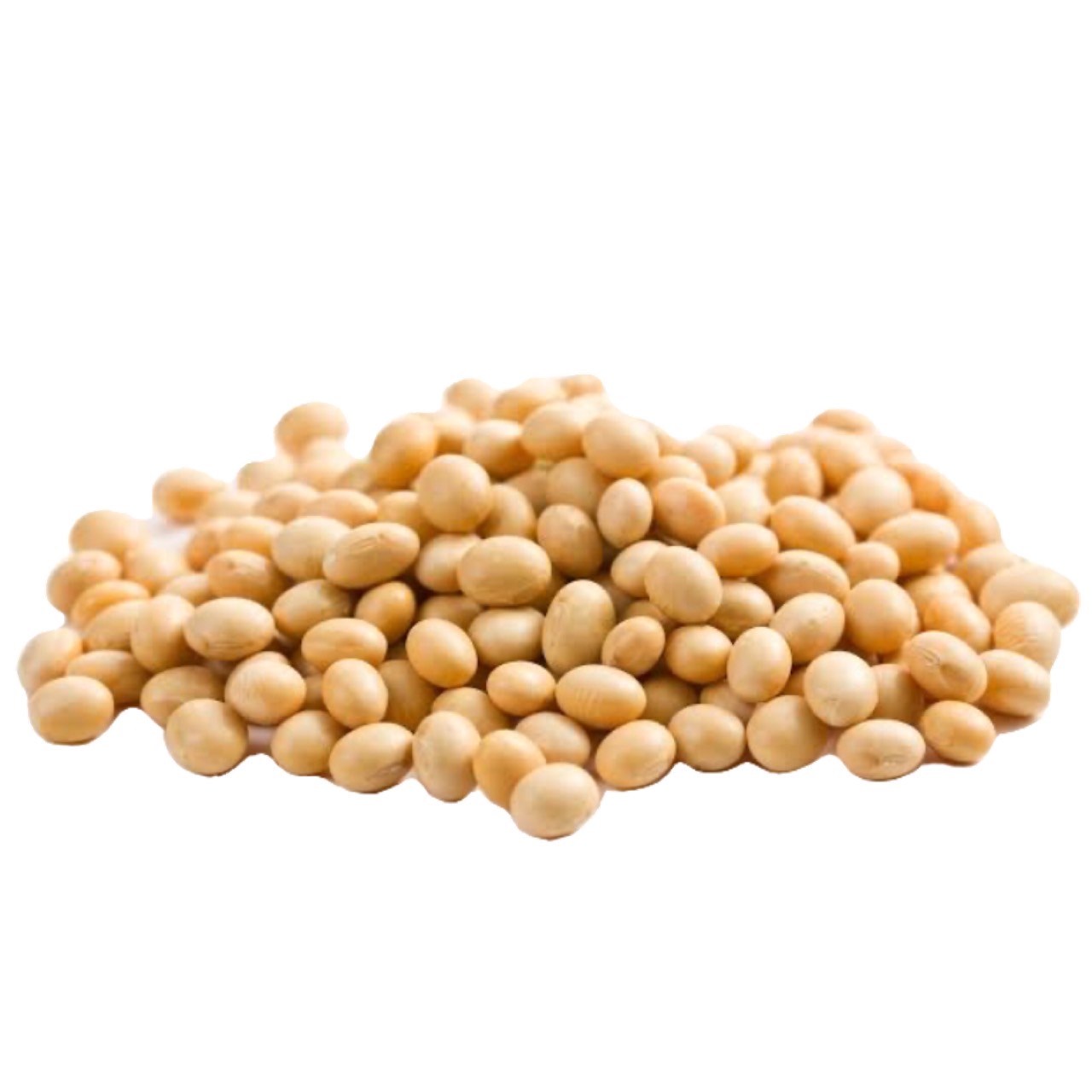 Сойя. Соя по английски. Soybean meal. Соя по английски. Соевые бобы на белом фоне.