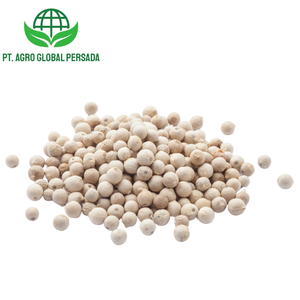 Poivre blanc Maluku Premium Agro Global Persada en gros, provenant des meilleures plantations indonésiennes, fraîcheur et goût inégalés 2 - Product Image 4