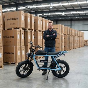 Vélo électrique rétro à pneus larges, économique et performant, avec écran LCD, expédition depuis l'entrepôt pour commandes en gros prêtes à être expédiées - Product Image 5