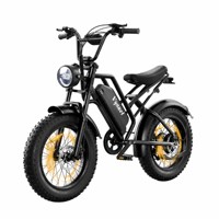 Bicicleta Eléctrica de Montaña Pro 750W, 50KM/H, 48V 18AH, Batería de Grado Automotriz, Neumático Grueso de 20 Pulgadas, Alto Rendimiento, Todoterreno