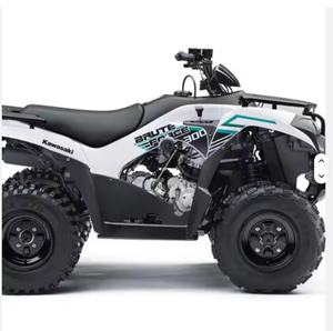 Calidad 2024 / 2024 Asequible BRUTE FORCE 300 4x4 Off Road Bike Industrial DIY - Product Image 6