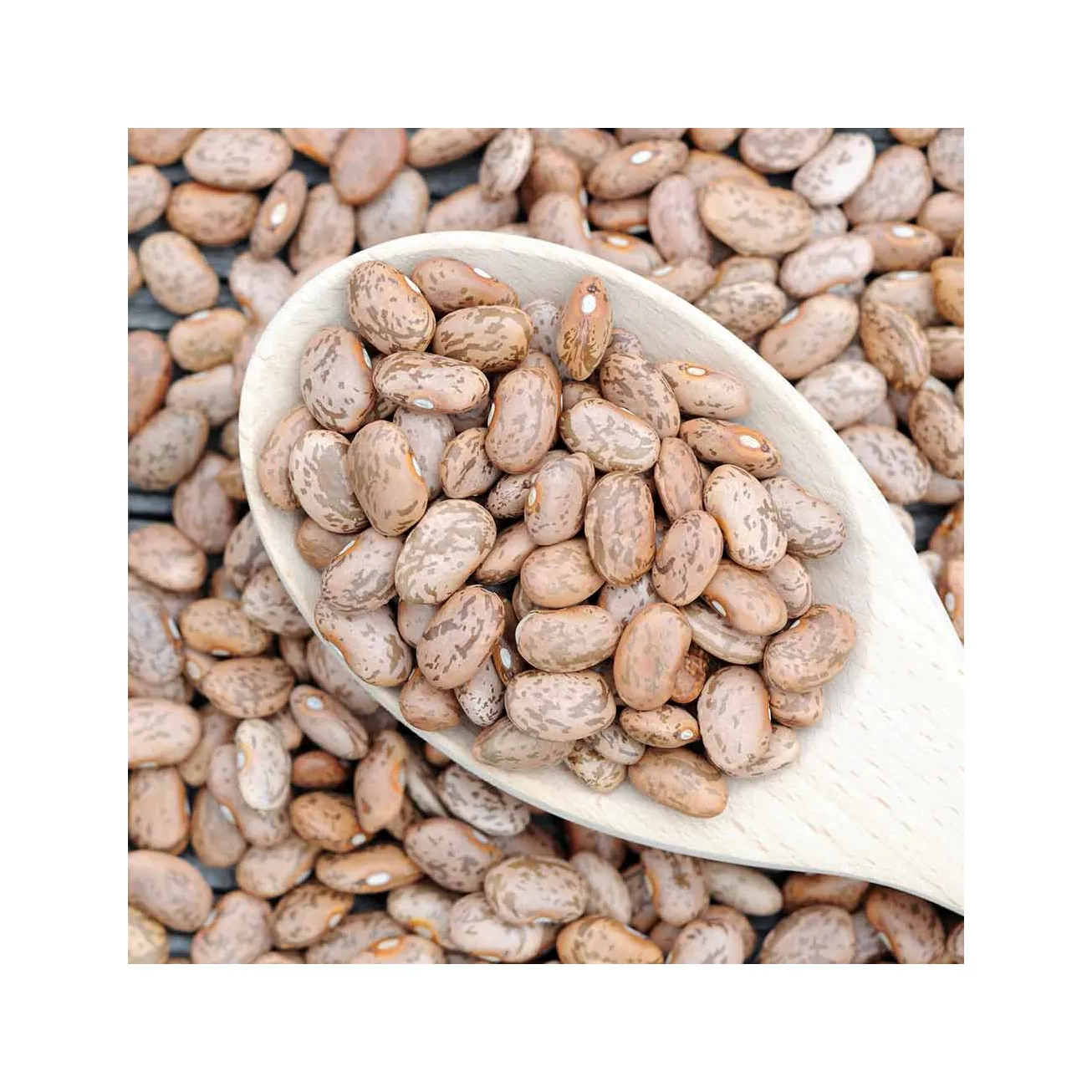 Non-GMO High Grade Natural Bulk Pinto Black Beans from Uzbekistan Dried Red