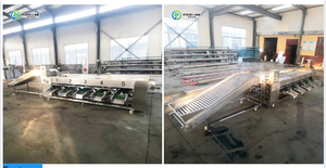 Máquina Automática de Clasificación y Calibración de Manzanas Industriales - Product Image 6