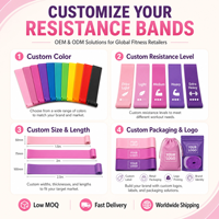Bandas de Resistencia Planas Portátiles de TPE, Bandas Elásticas para Ejercicios de Yoga, Pilates, Fitness, Entrenamiento de Fuerza