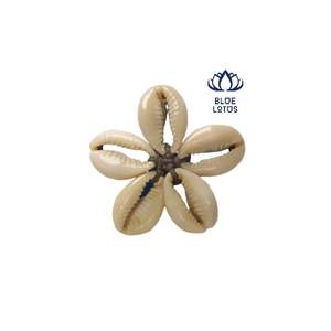 Petite plage en coquillage de vache Vietnam - Product Image 4