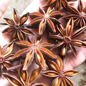 โป๊ยกั๊กต้นกำเนิดเวียดนามขายส่ง - Product Image 1