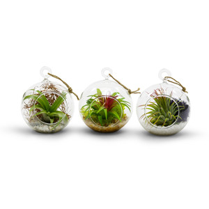 HCH0103 - กระถางแขวนทรงกลม / เชิงเทียน - Product Image 4