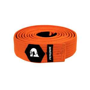 Ceinture de karaté et de Judo pour adulte, couleur personnalisée, bleu, Jiu, Jitsu, Gi, Bjj - Product Image 3