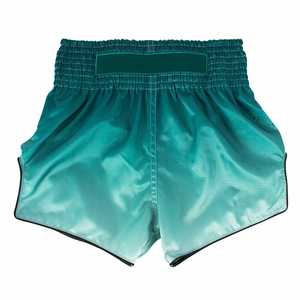 Mma Custom Design Printed Kick Boxing Muay Thai Shorts, Fighting Shorts Muaythai Shorts in Gradient Colors - Product Image 3