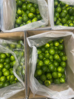 Citron vert sans pépins du Vietnam, frais, juteux, mûr, de haute qualité, qualité export, taille 6 cm, durée de conservation de 12 mois