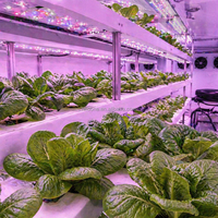 Système d'agriculture hydroponique en conteneur pour légumes-feuilles, hydroponie verticale, équipement de culture de laitue, ferme en conteneur, rendement élevé