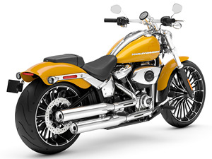 Venta en Subasta de Motocicletas Nuevas FXBR Breakout 2025 con Potencia de 1001-2000W y Velocidad Máxima Superior a 80km/h - Product Image 2