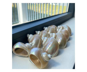 Anneaux de serviette en coquillages faits à la main, décoration de table élégante pour la restauration - Product Image 2