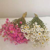 Bouquet de fleurs séchées d'Helichrysum naturel, marguerite éternelle pour mariage bohème, fête des Mères, décoration de remise de diplôme, longue durée 3-5 jours