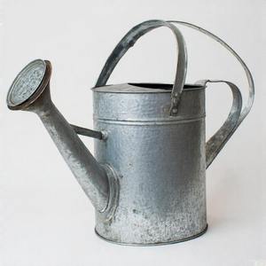 Arrosoir d'inspiration rustique avec texture galvanisée patinée et crêtes décoratives pour une sensation vintage - Product Image 2